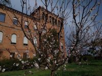 Register to read more ...