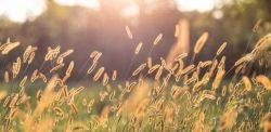 Foto di Lindsey Erin su Unsplash