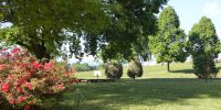 Leggi tutto: Slideshow in home page Bose