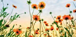 Foto di Lee su Unsplash