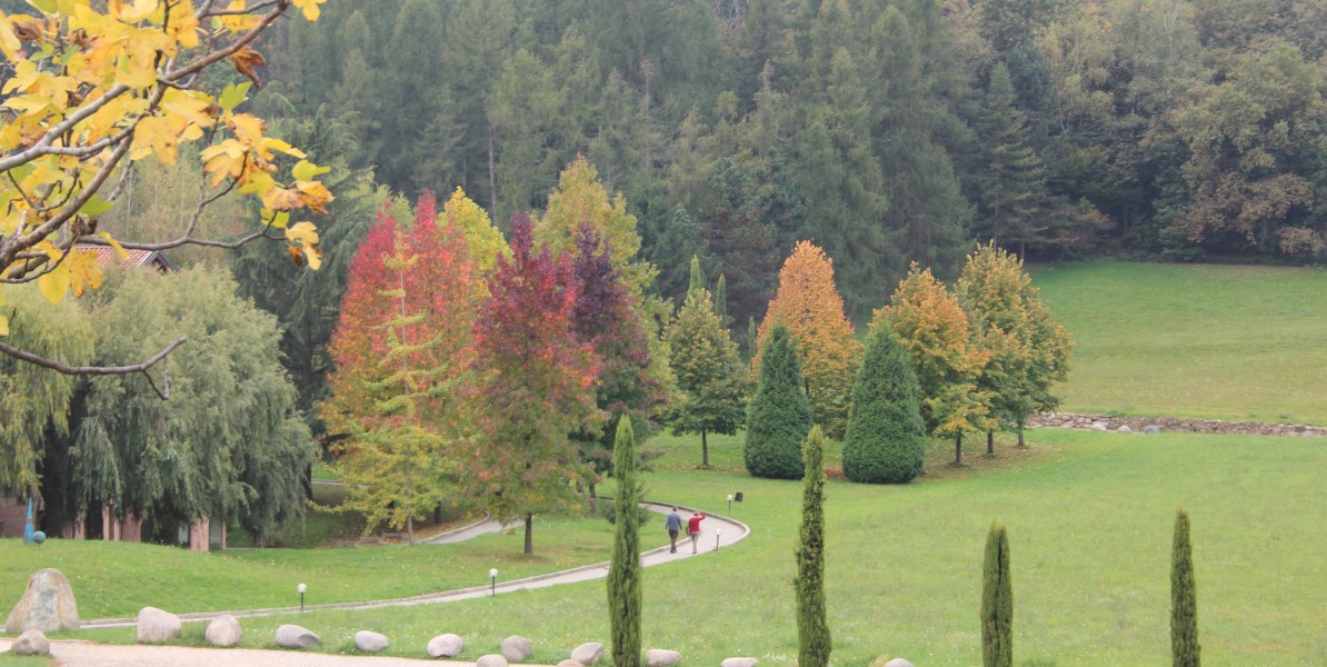 003_25_autunno_3