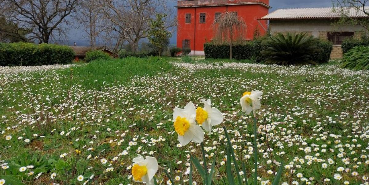 05-fiori_con_san_benedetto